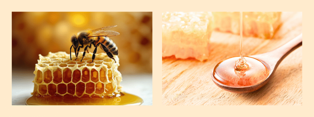Artículo Miel buena vs miel industrial. Aprende a distinguirlas con El Colmenar.