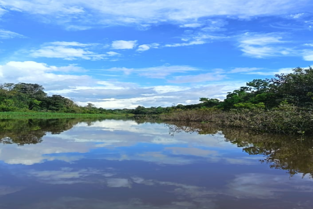 NAI-Chambira, experiencia en la Amazonía Colombiana organizada por El Colmenar