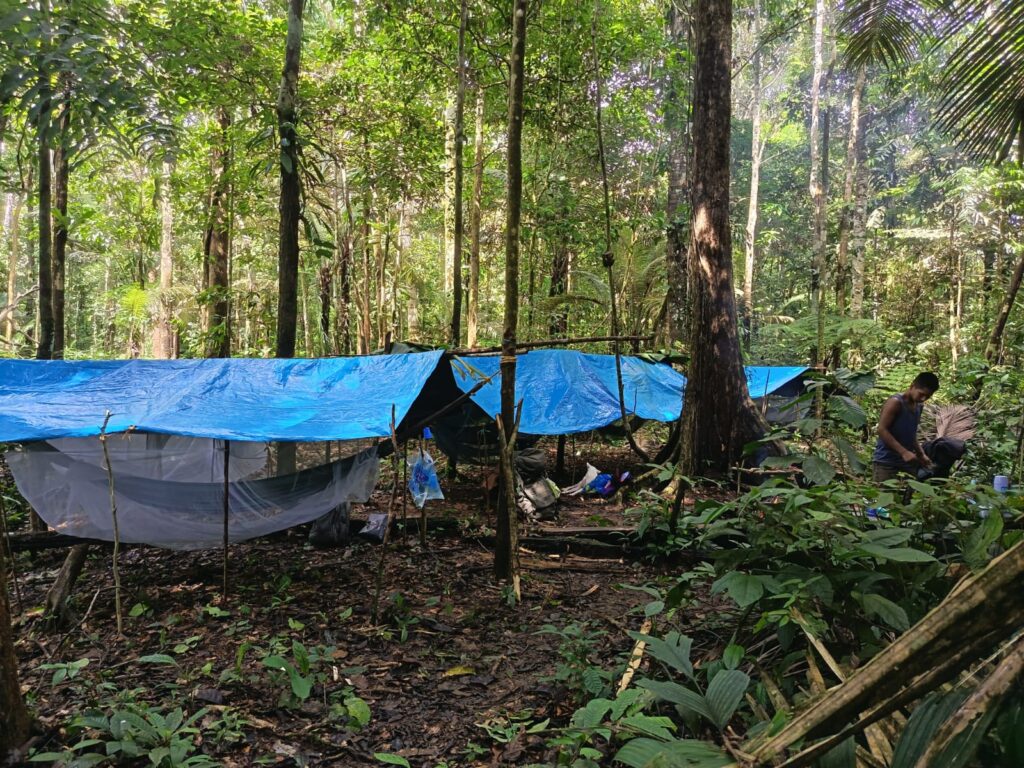 Alojamiento en la selva amazónica con NAI-Chambira