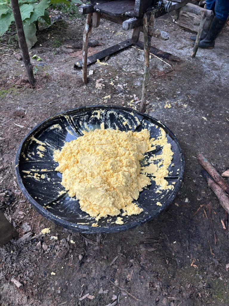 NAI-chambira - Elaboración de la fariña