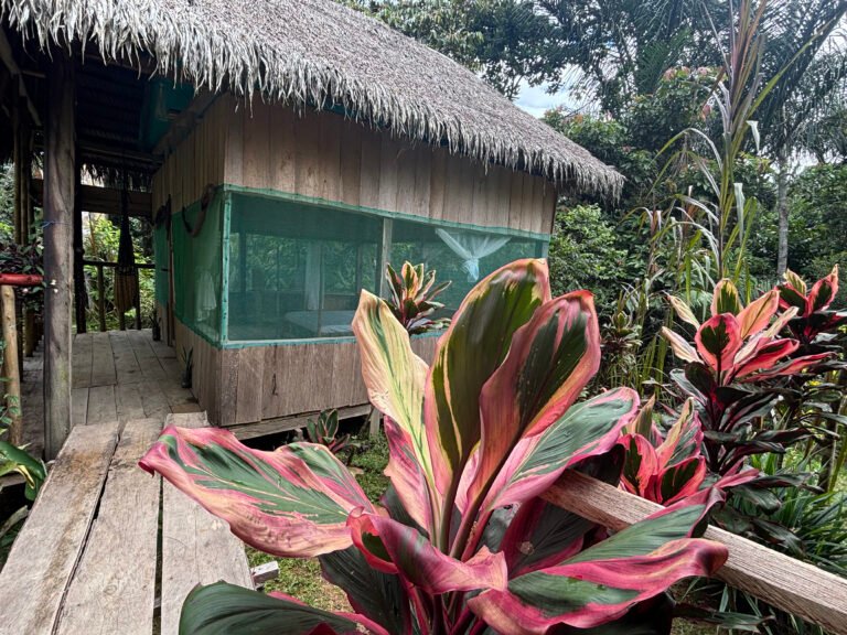 NAI-chambira - Casa