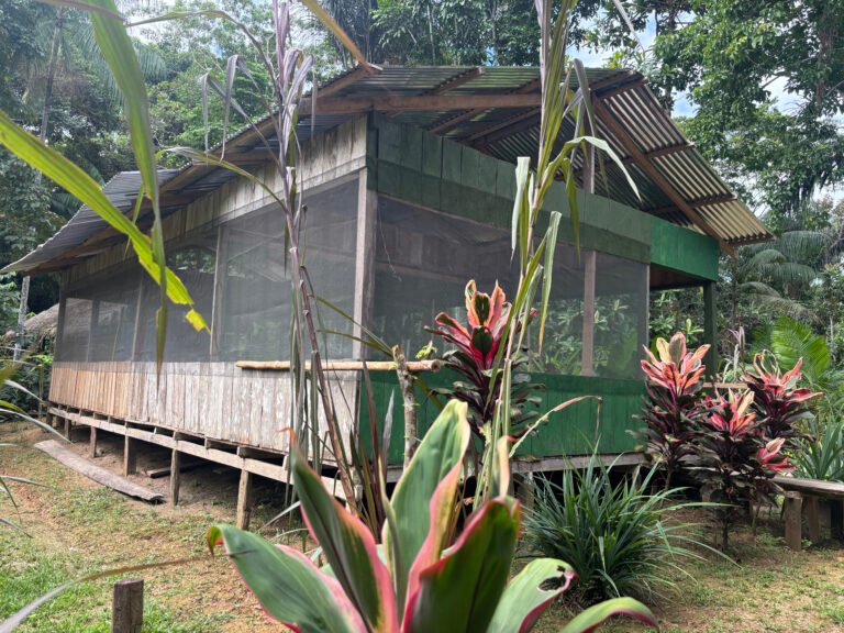 NAI-chambira - Casa