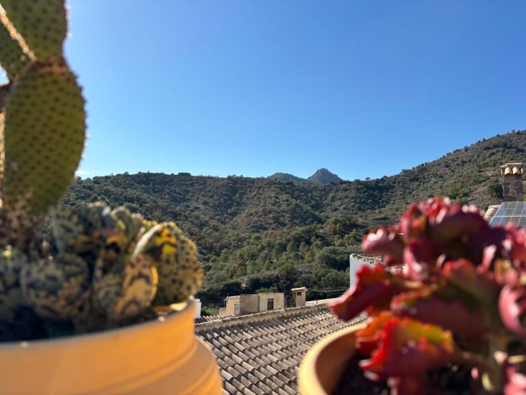 Casa de las flores - Vistas