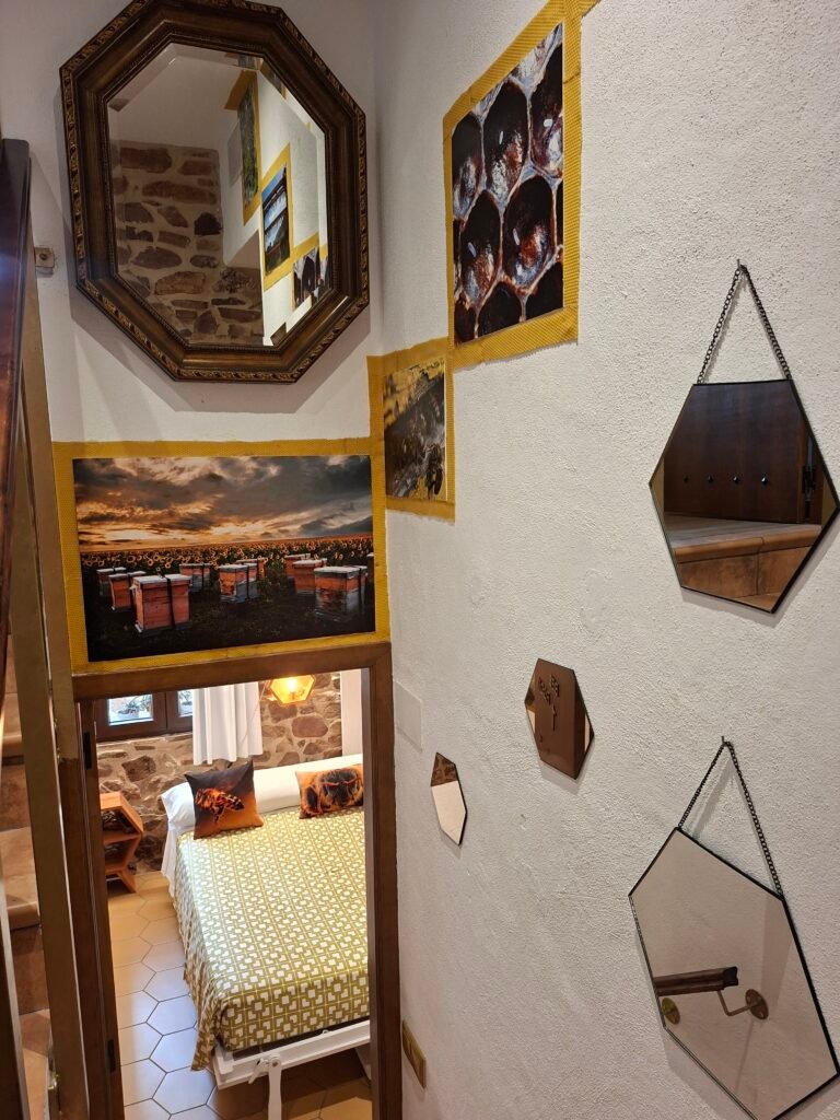 abejas room 4