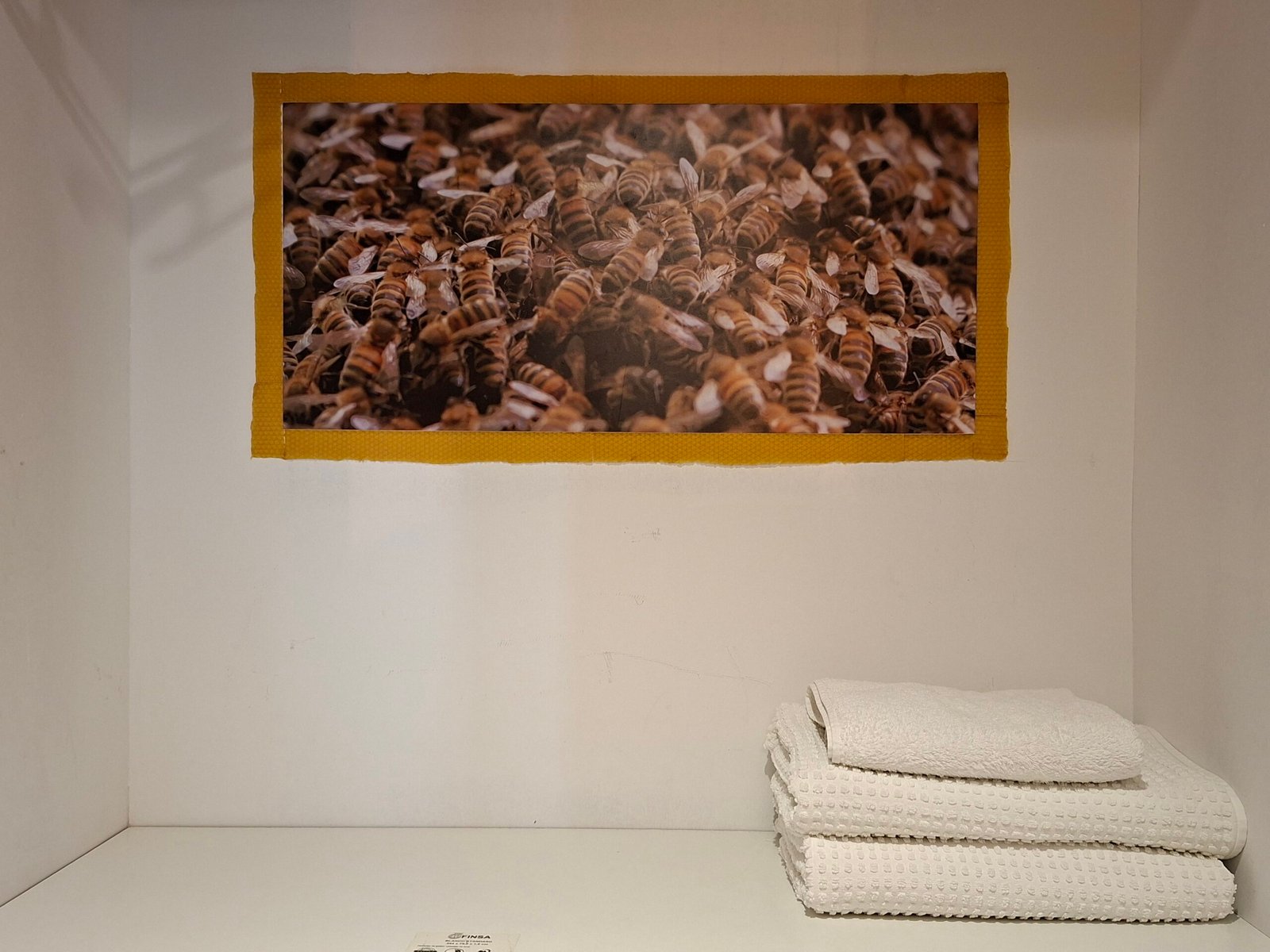abejas room 6