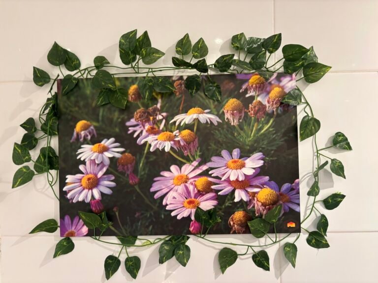 Baño flores 4