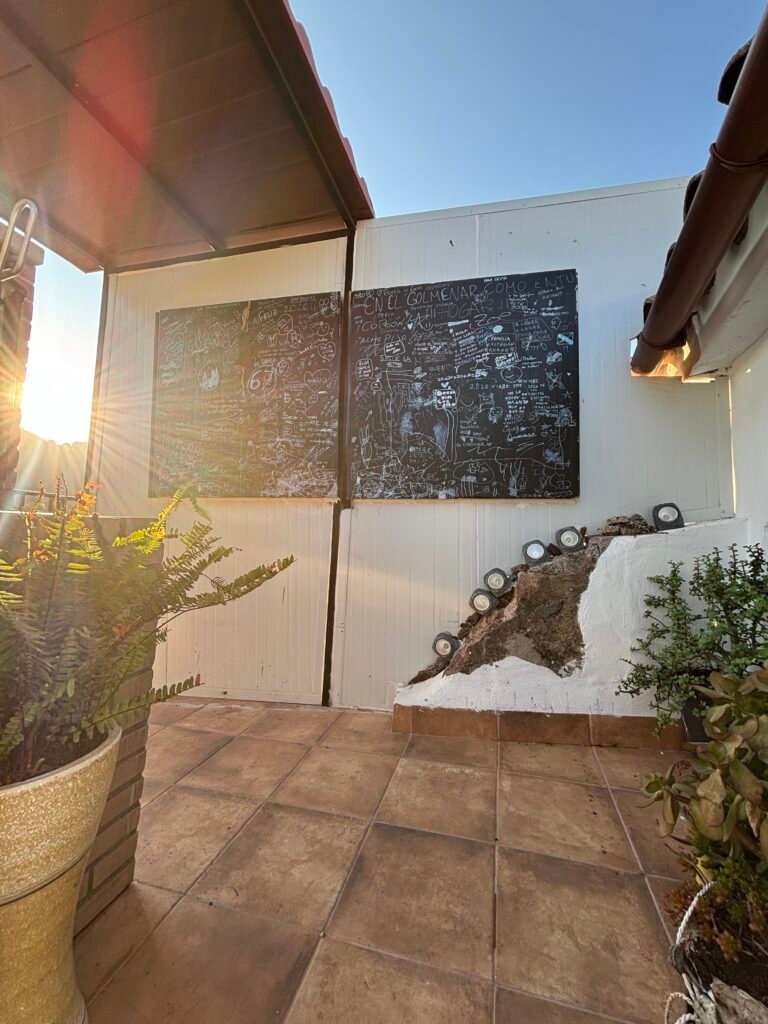 Terraza flores New 7